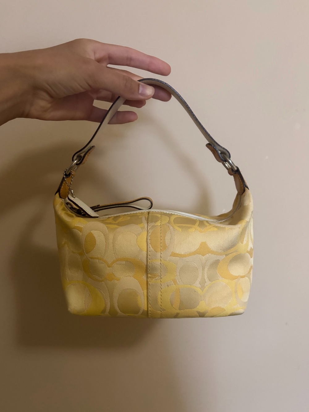 Vintage Coach Bag